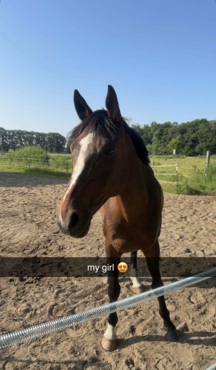 Dustingarn82's tweet image. She’s beautiful 😻