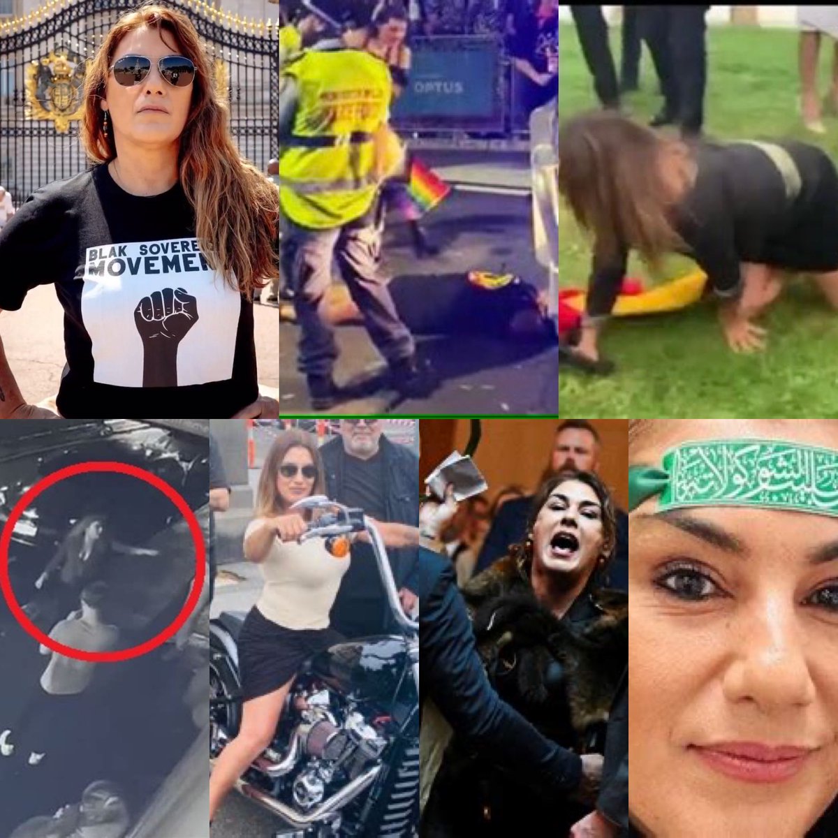 Time to make politicians accountable for their actions! 

Criminal Code Act 1995 Section 80.2C: Advocating terrorism or inciting violence against a gov’t institution, including threats to damage Commonwealth property like Parliament House.

Time to go Lidia Thorpe!👇🏽