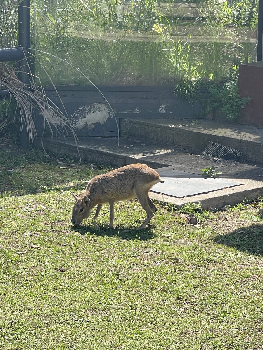 mitko | 🇦🇷/acc tweet media