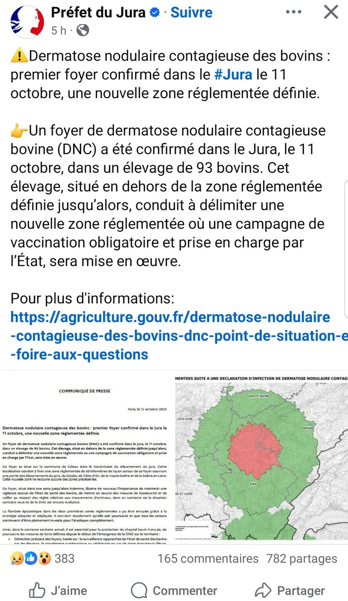 Manzagol Frédéric (@manzagolf) on Twitter photo 