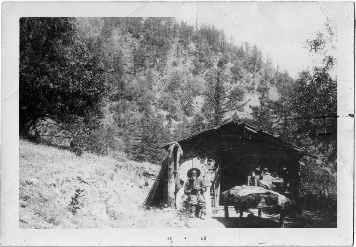 Around the turn of the twentieth century, Palomar Mountain became a popular destination for tourists from San Diego. Two-thirds of the way up the slope, travelers would come upon a spring attended by an aged African American man named Nathan Harrison. bit.ly/48jUiTx