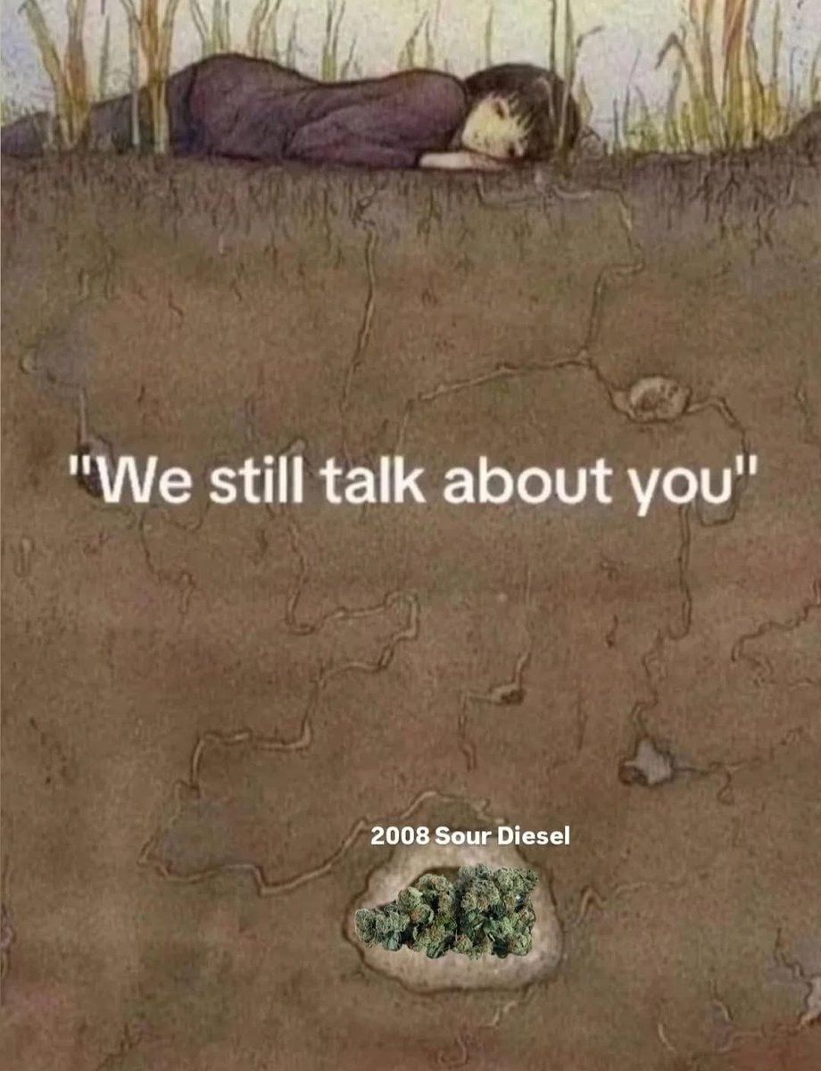 DankSinatraIVXX's tweet image. 