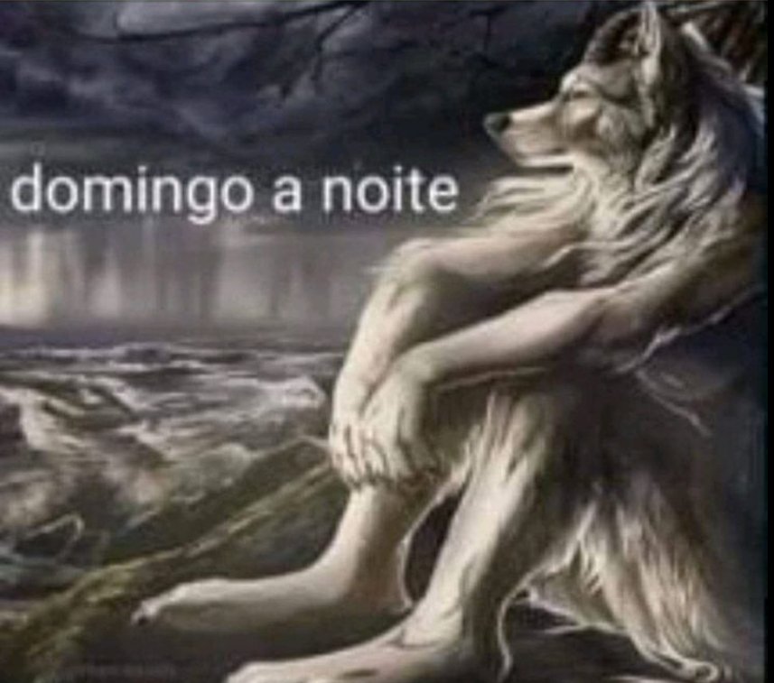 ele chegou...
