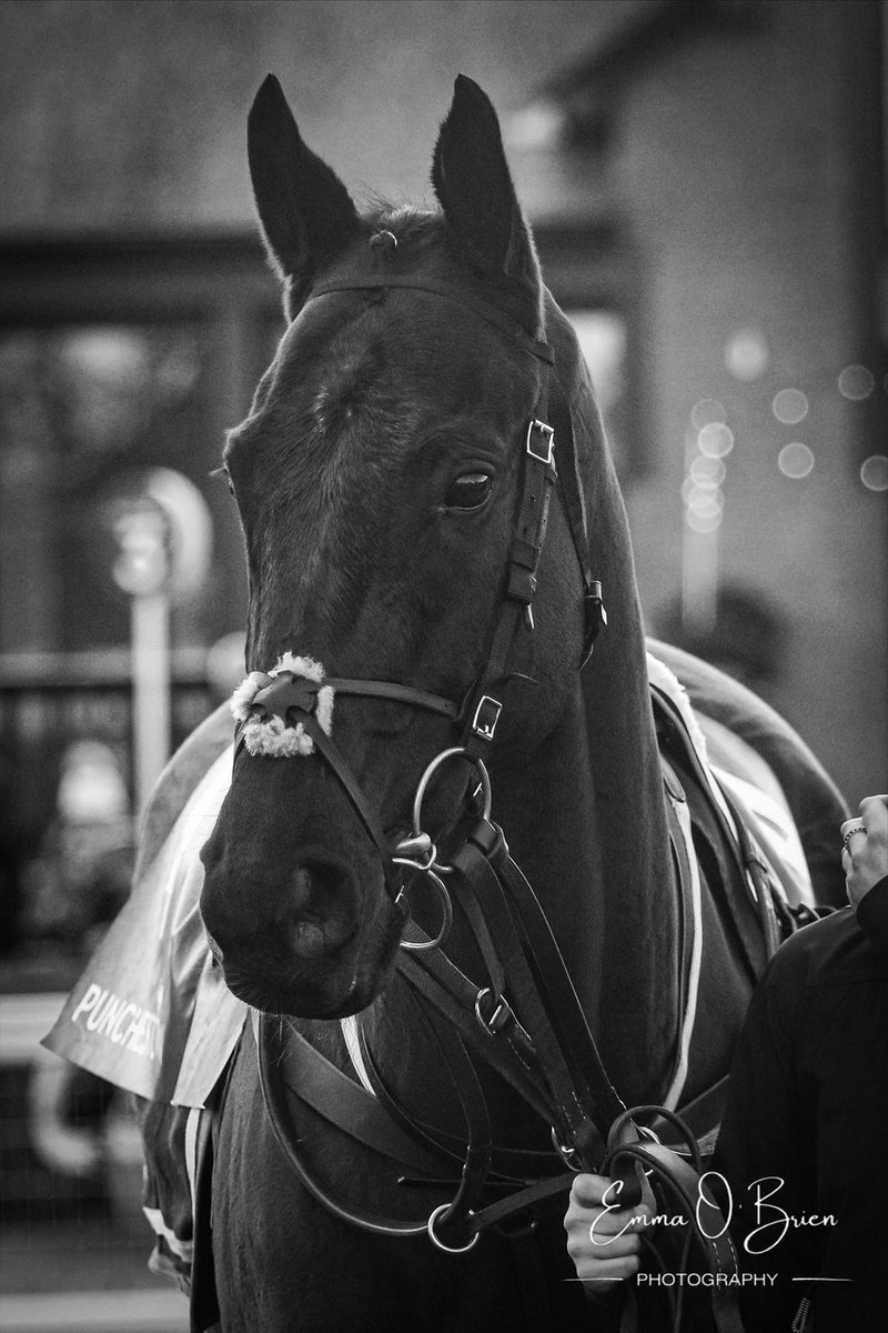 A piece of history🏆

STUMPTOWN☘️🇮🇪 <a href="/gavincromwell1/">GavinCromwell Racing</a>