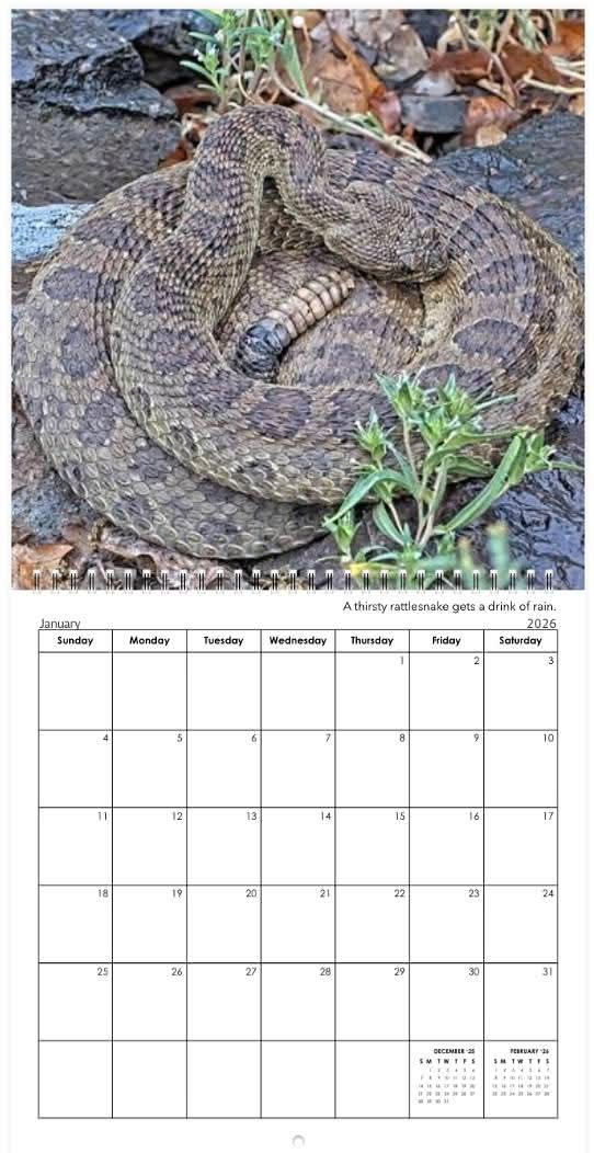 Project RattleCam tweet media