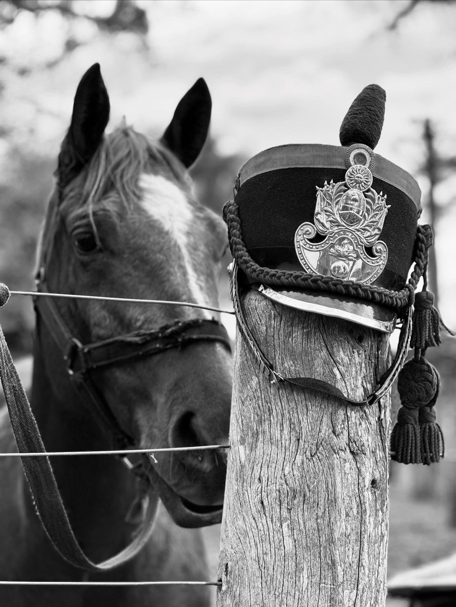 Carlos Ravazzani tweet media