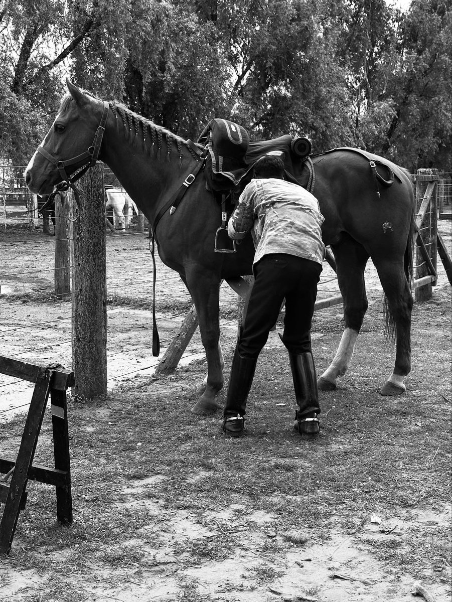 Carlos Ravazzani tweet media