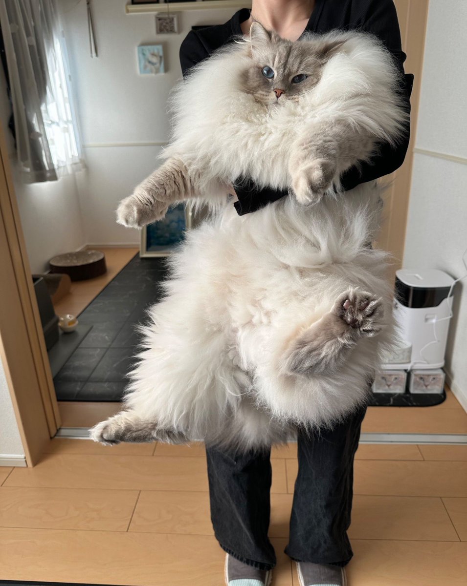 HuseynAli853149's tweet photo. Büyüdüğümü Kabullenmeyen Sen Hala Küçük Bebeğimsin Diyen Annem😻😻 https://t.co/mawCCBRy3z