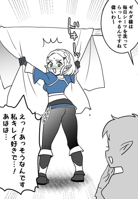 キレイ好きなゼルダ様 
