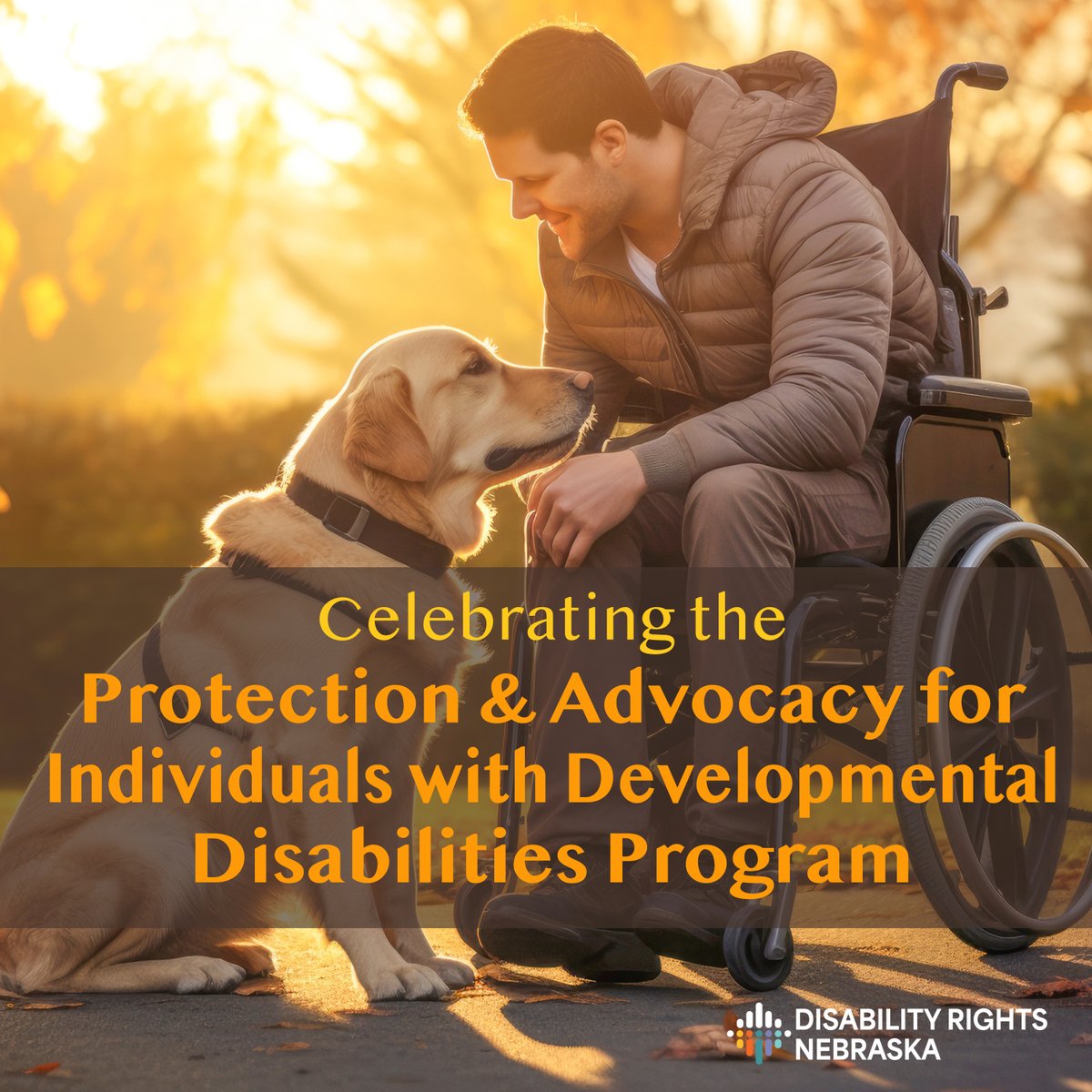 DisabilityRtsNE's tweet image. The PADD program protects the rights of people with developmental disabilities to live, learn, and work in their communities. Learn more at disabilityrightsnebraska.org
#DisabilityRights #AdvocacyMatters #InclusionForAll