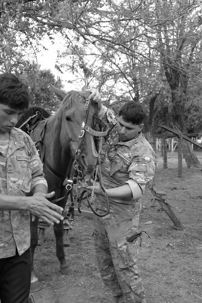 Carlos Ravazzani tweet media