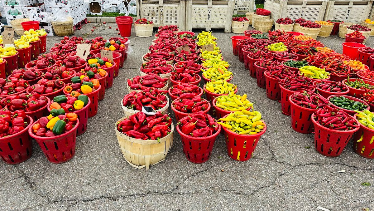PeelCrimeStopp's tweet image. A beautiful day to pick up fresh seasonal produce at the @LionsFarmersMkt fundraising project. Join us every Sunday 8am - 3pm (Closes: October 26)  More info:
More Info: lionscentral.com/farmers-market…
#HappyThanksgiving #SupportLocal #StrongerTogether