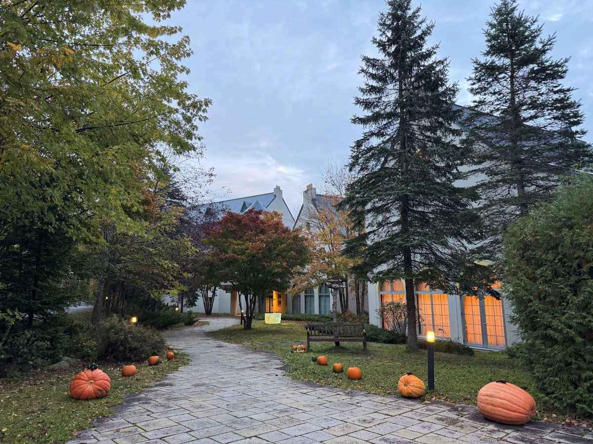 おはようございます。              　　　　　　　　　　　　　　                                        今朝６時頃の気温は１０℃。           
昨晩雨が降りましたが、すっかり止み気温も２ケタまで上がりました。

 #遠軽 #丸瀬布 #企業公式が毎朝地元の天気を言い合う
