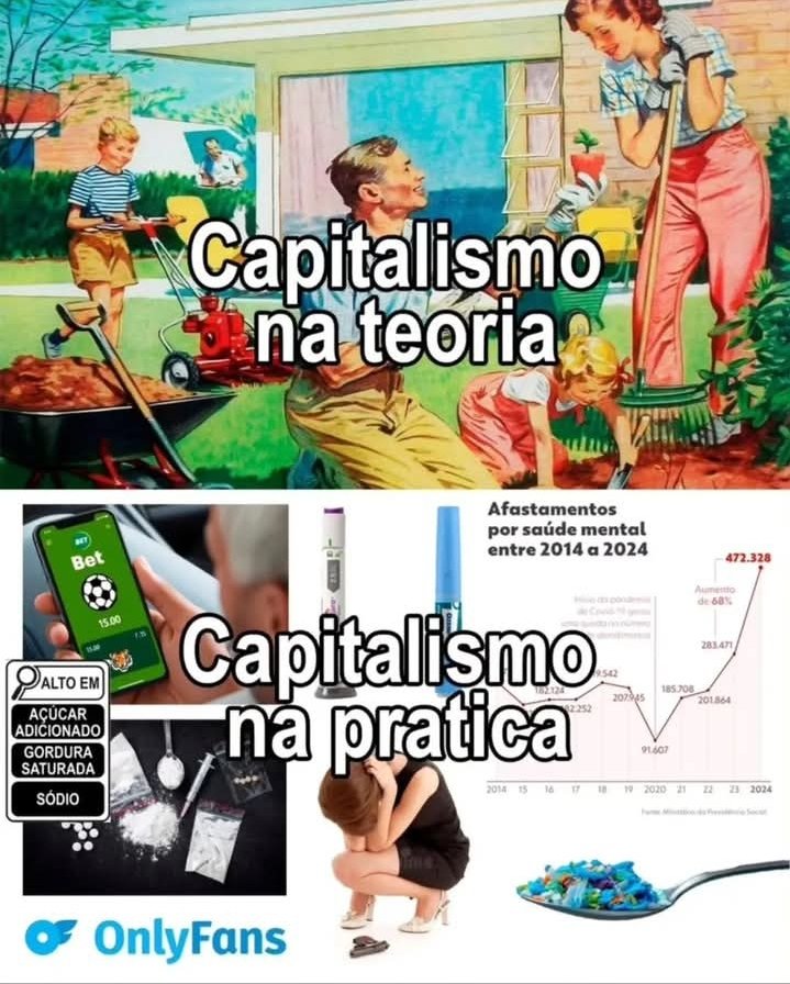 Essa meme está certo?