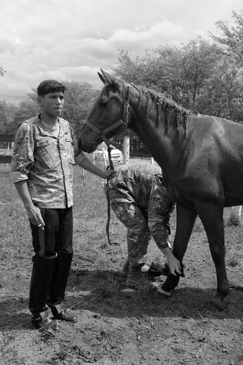 Carlos Ravazzani tweet media