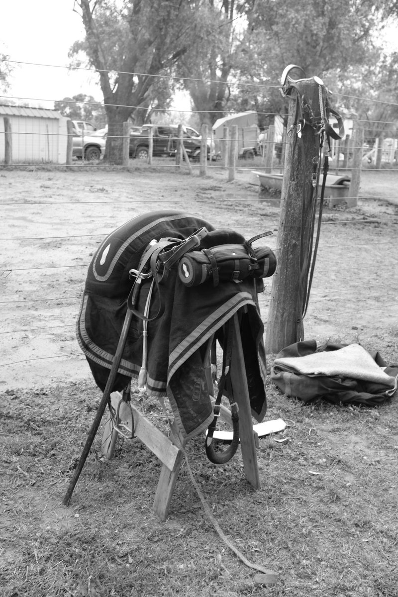 Carlos Ravazzani tweet media