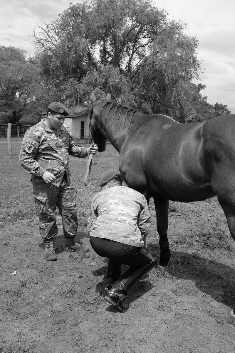 Carlos Ravazzani tweet media