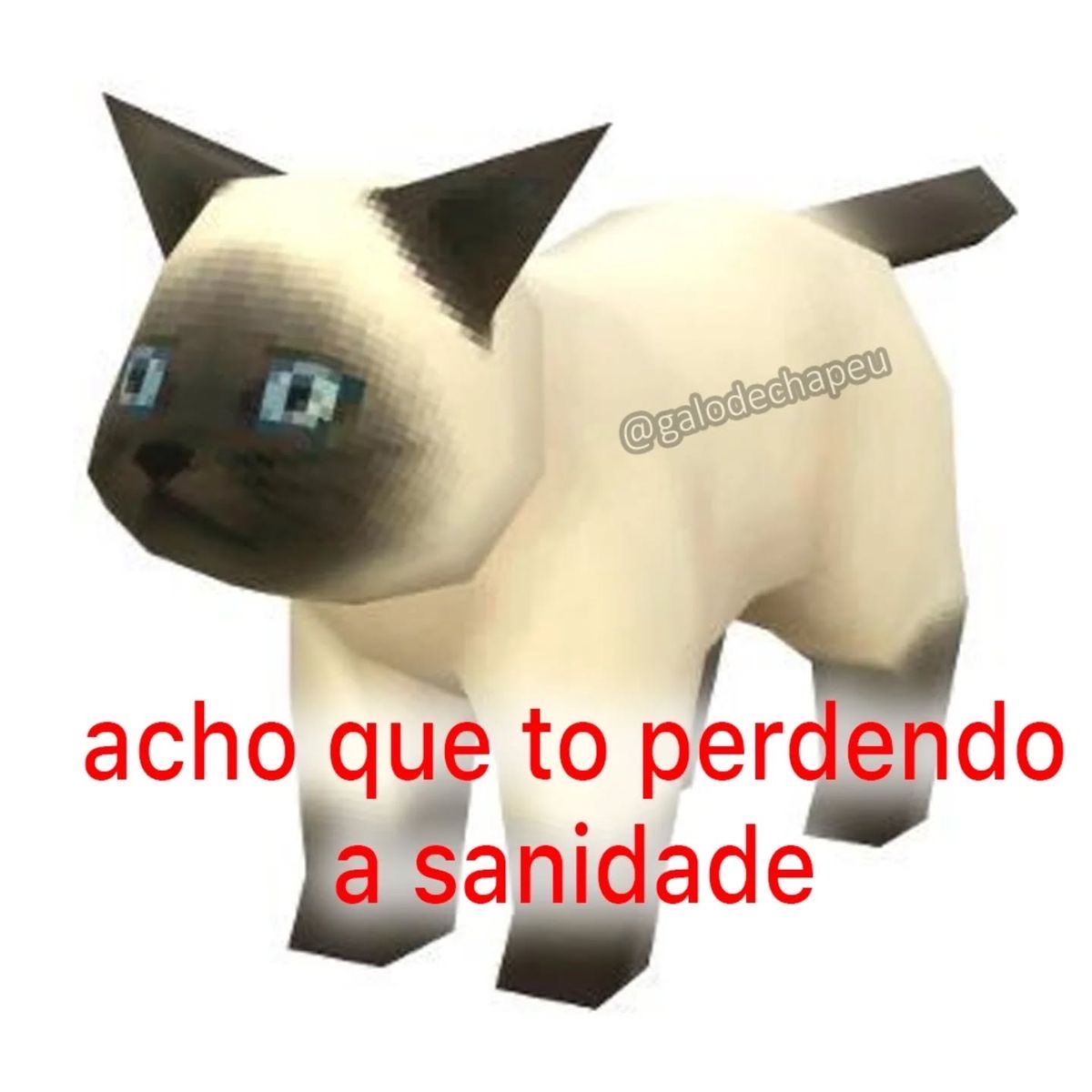 shitpostverdade's tweet photo. https://t.co/GbX3E9QX4N