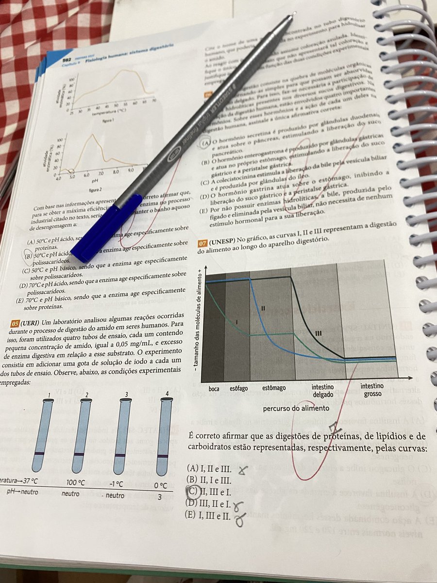 Revisando Sistema Digestório