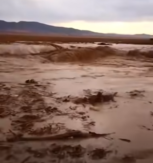 #Tunisia: A 69-year-old woman was swept away by sudden flash floods in #Bousalem, #Jendouba governorate while trying to save her sheep on Sunday evening, with search efforts continuing after unforecasted, record rainfall hit the region, according to local officials. #TAP_En