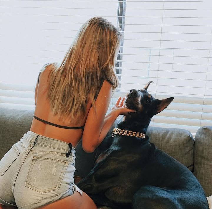 About to give him the nastiest ride her ever had 🤭😂
Clips available linktr.ee/zoogirlclassics

#k9girl #k9 #canine #knot #knotting #dogslut #slut #whore #horny #tits #bbc #nude #bnwo #goth #selling #findomme #femdom #paypigs  #qos #cuckold