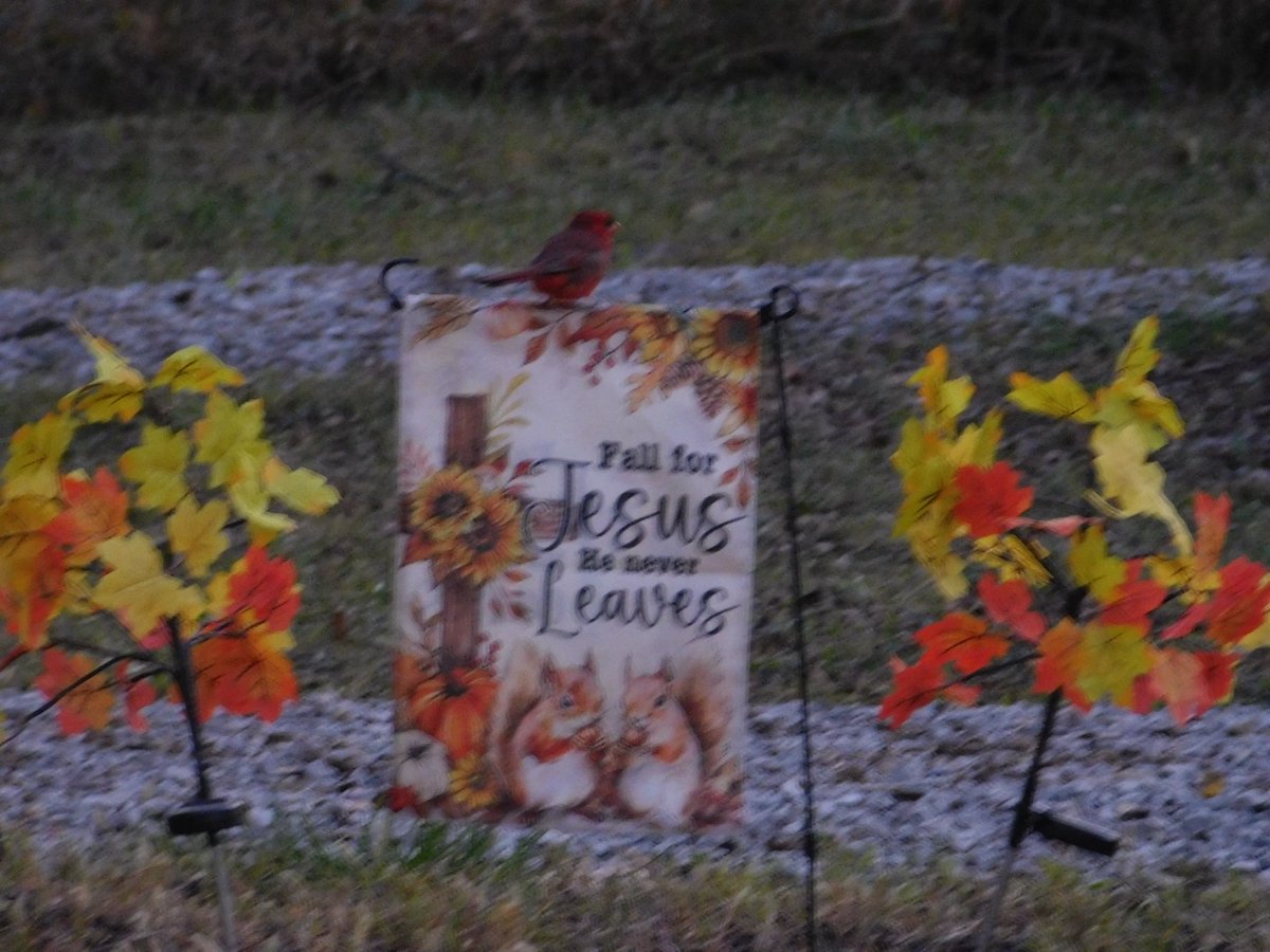 SOWLE_RV's tweet image. We dedicate our 2025 October Big Day bird count in  memory of our GG. She went on her 1st RV Camping Trip at age 88 &amp;amp; participated in October Big Day/Global Bird Weekend. We sure miss birding with you GG. See results in 1st comment! #OctoberBigDay #SOWLERV #Globalbirdweekend