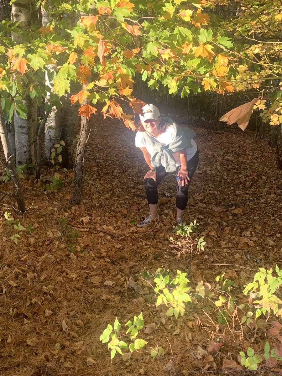 Happy Thanksgiving Bears! I hope you are enjoying the long weekend with family and friends.  I’m spending as much time in the sunshine as possible. I’m so thankful to be part of such a special school community! See you on Tuesday! Go Be Kind Bears. 💕