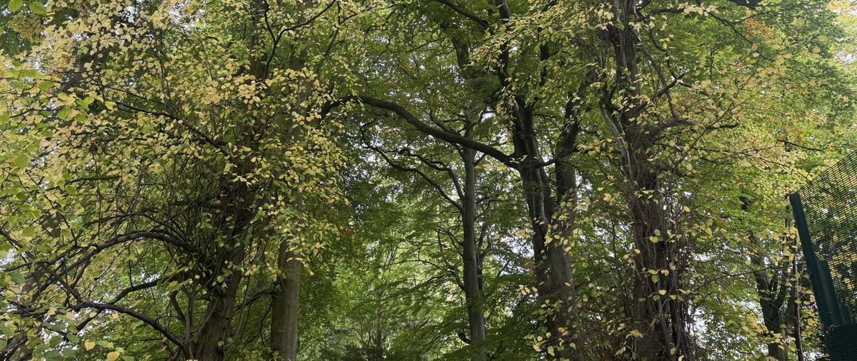 stl (@stiilaa) on Twitter photo 