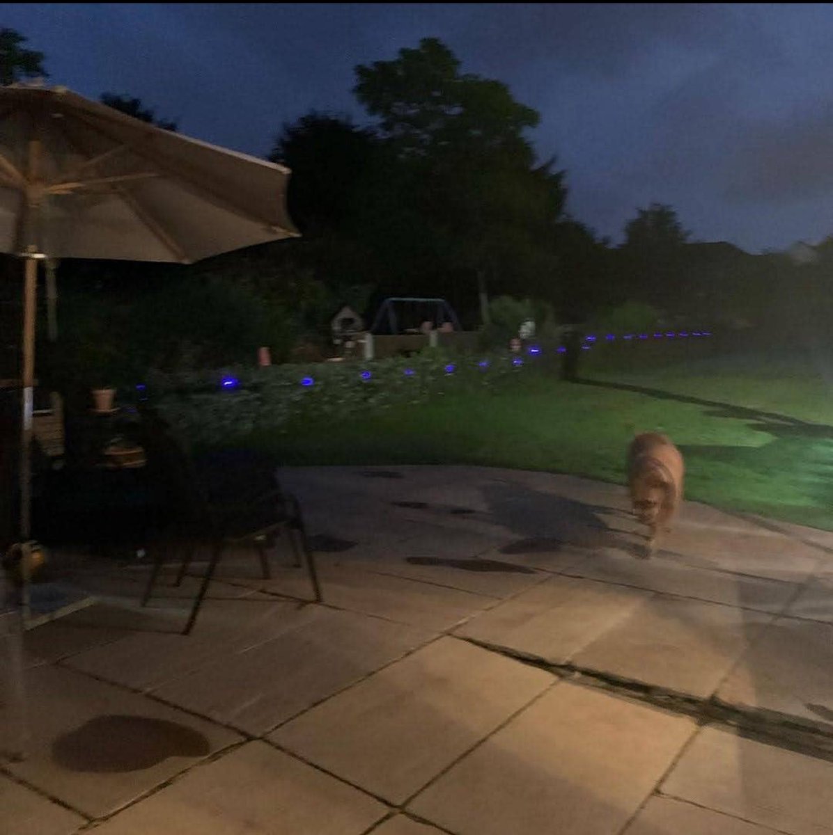 patrickjackso09's tweet image. 