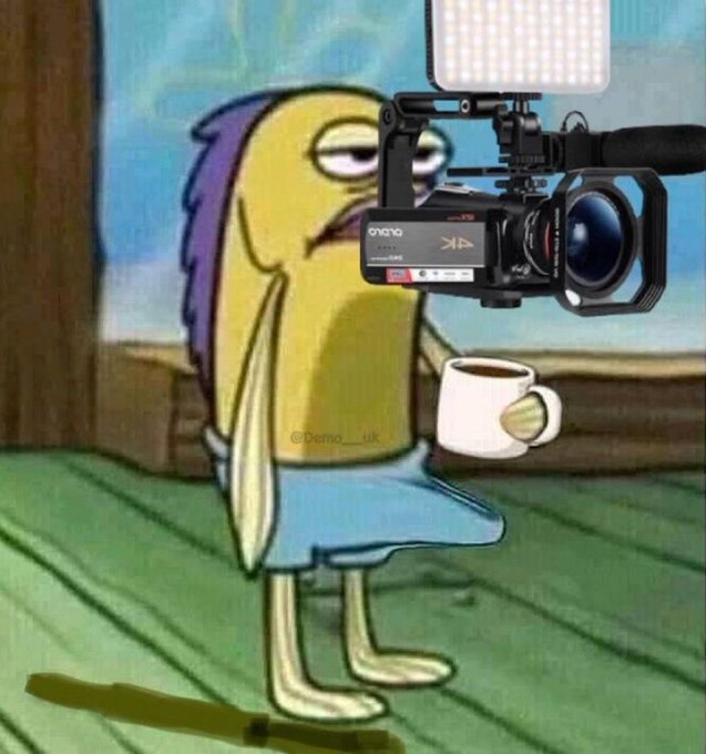 Animalsdaily6's tweet image. The guy who was clicking the Picture
