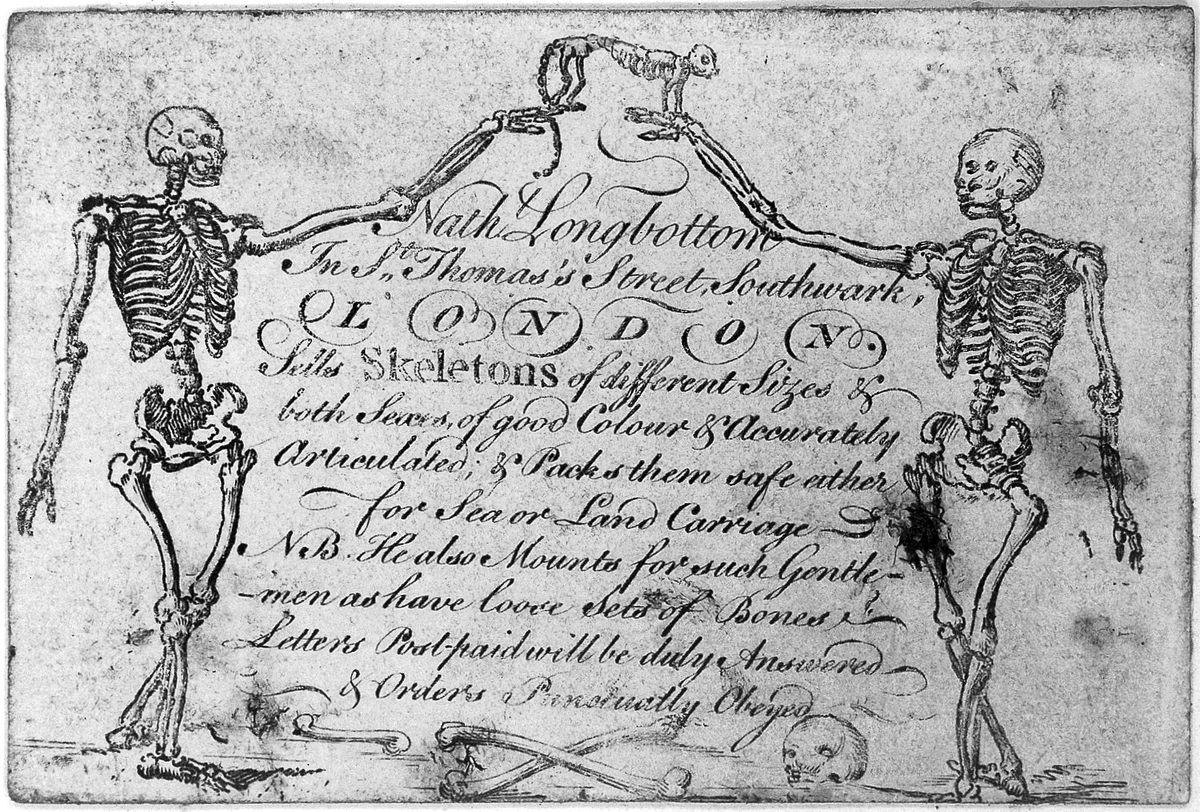 Inconvenient Dead tweet media