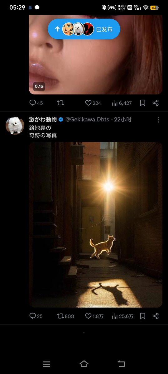 tting886's tweet photo. 这个推算是被窝刷尽了 https://t.co/u7WXsvEpZZ
