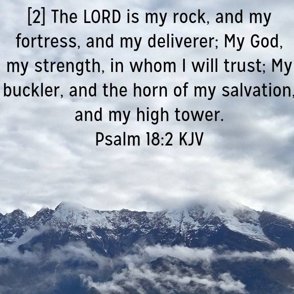 Psalm 18:2 KJV
[2] The LORD is my rock, and my fortress, and my deliverer; My God, my strength, in whom I will trust; My buckler, and the horn of my salvation, and my high tower.

bible.com/bible/1/psa.18…