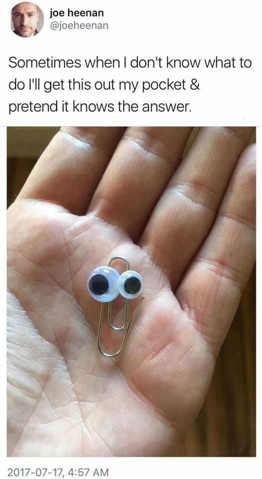 WholesomeMemes (@wholesomememe) on Twitter photo 