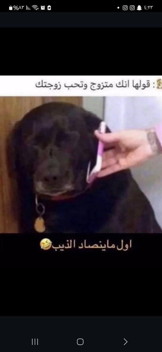 remasmohammad99's tweet photo. @DUZORO https://t.co/jRMbNZyLGI