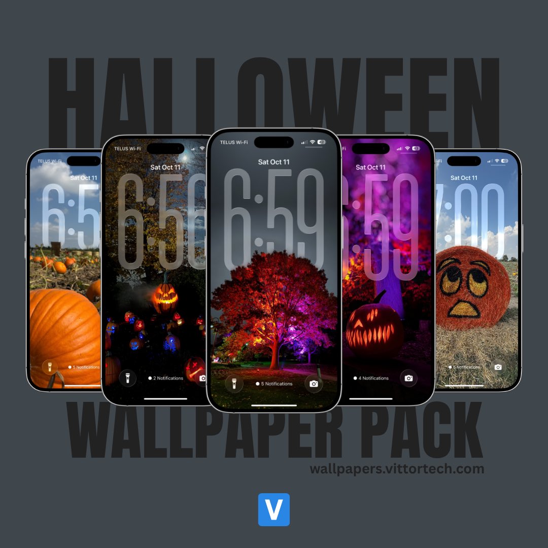 Dan Vittorini tweet media