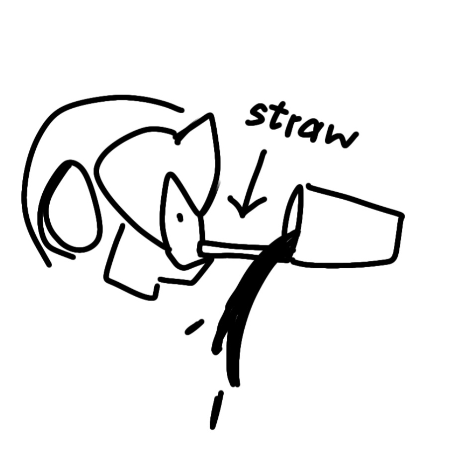 i just did the stupidest thing