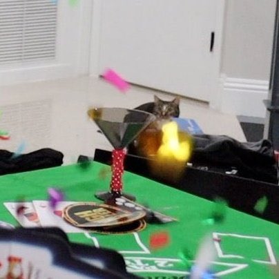 daily patches 😼 tweet media