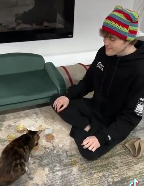 daily patches 😼 tweet media