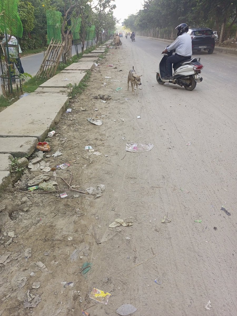 CityGrenoWest's tweet image. Situation at Sector 16 B, Greater Noida west

Location Ajnara Homes Road between Opposite Panchsheel greens 1

Overall responsible departments
1.. @OfficialGNIDA 
2.. @UppcbN @uppcbofficial 
3.. @CPCB_OFFICIAL 😴

@dmgbnagar Kindly take this matter as it affects our lungs 🫁