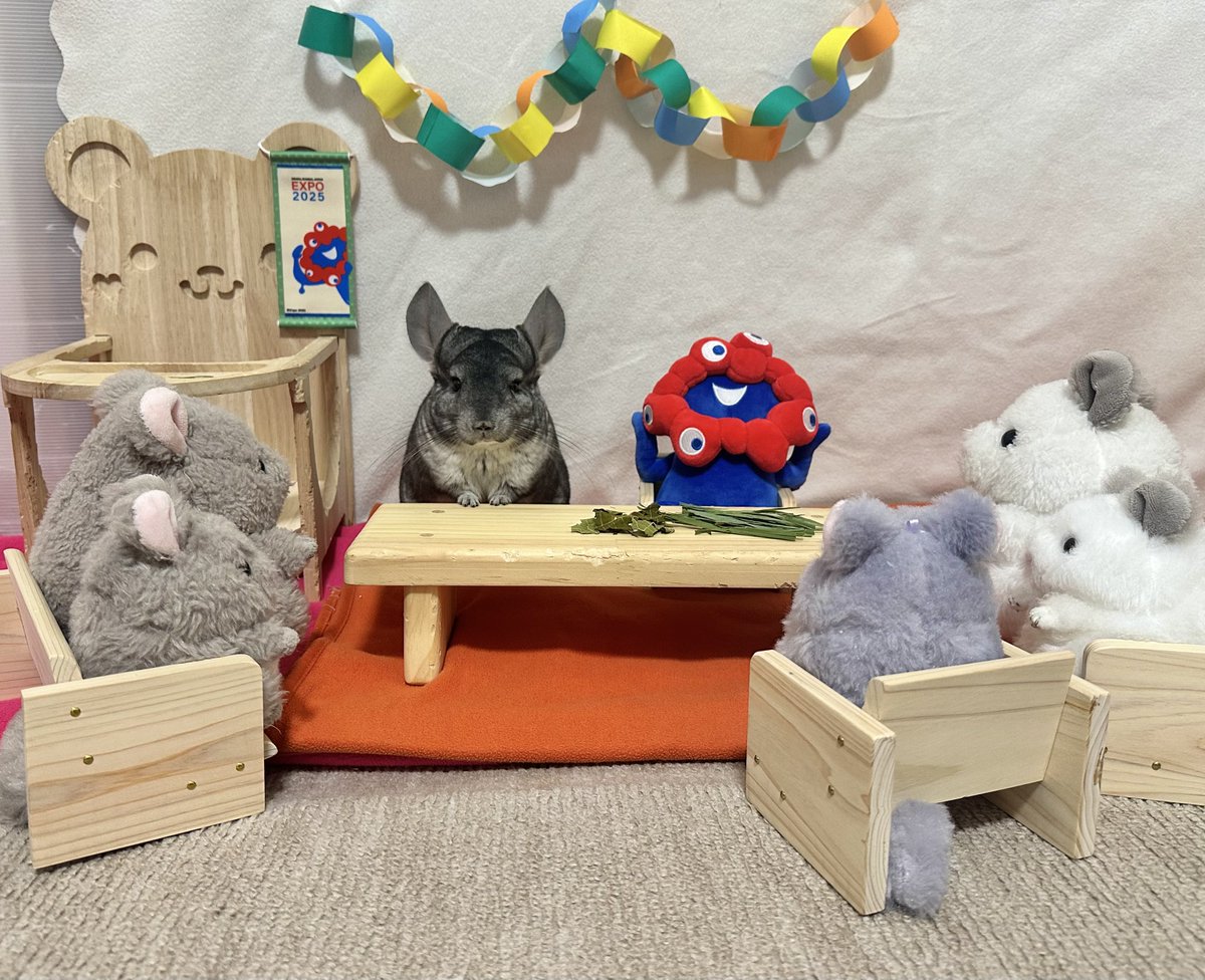 ちーこっこ🐭 (@koyukineko9) / X