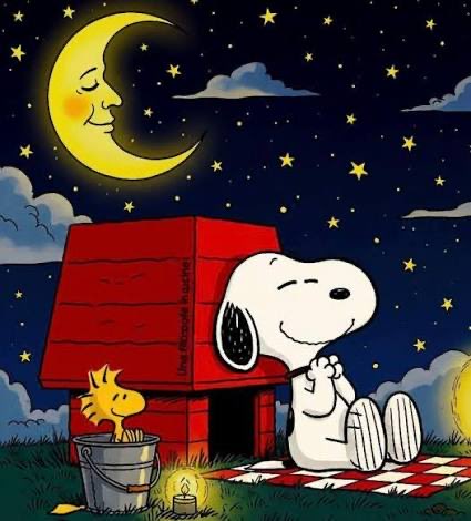 TimStraley's tweet image. Good night everybody I love you all. Talk to you in the morning. God bless America.
