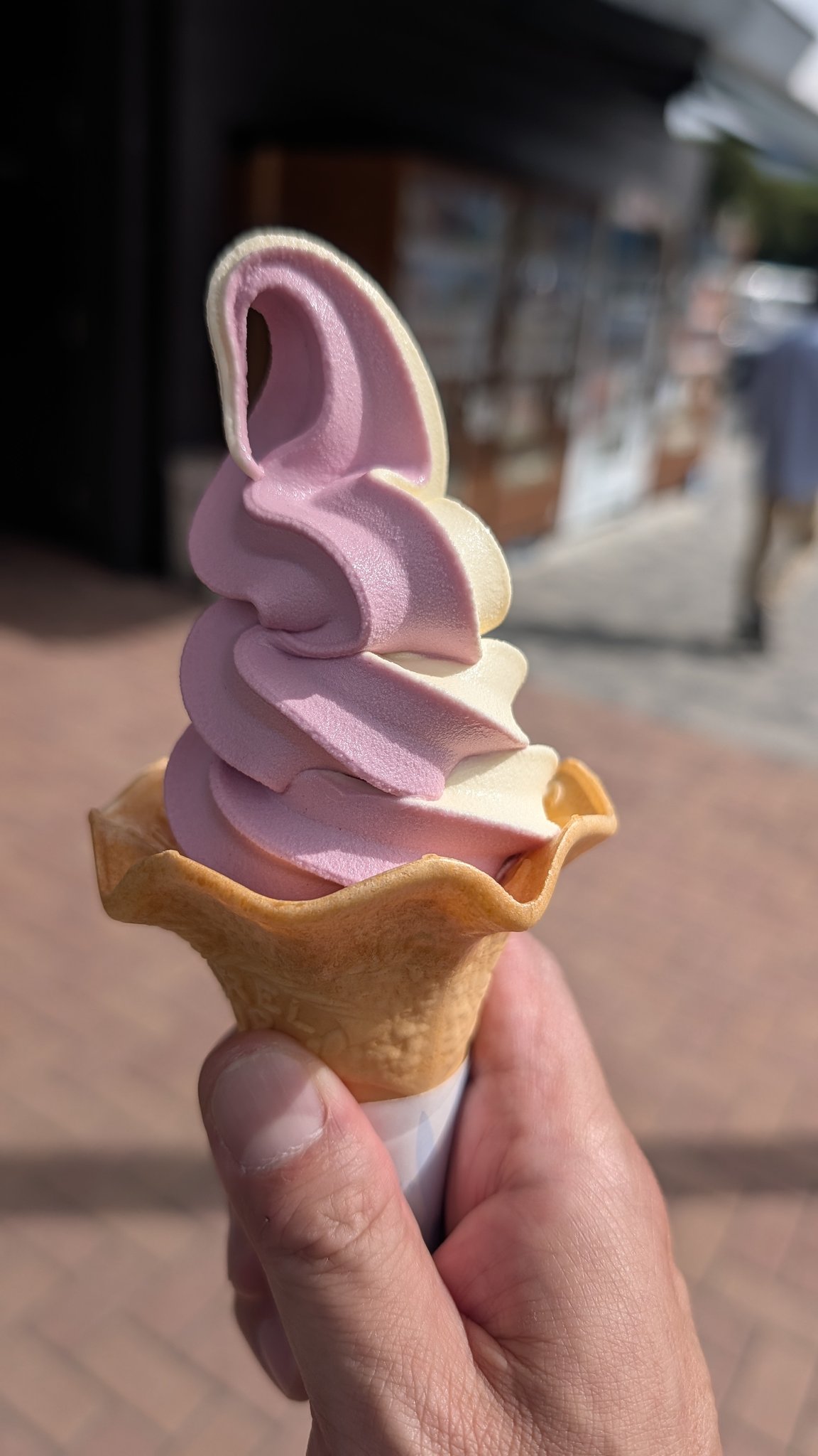 ロッシー様 セッシー (@95xlh1200) / X