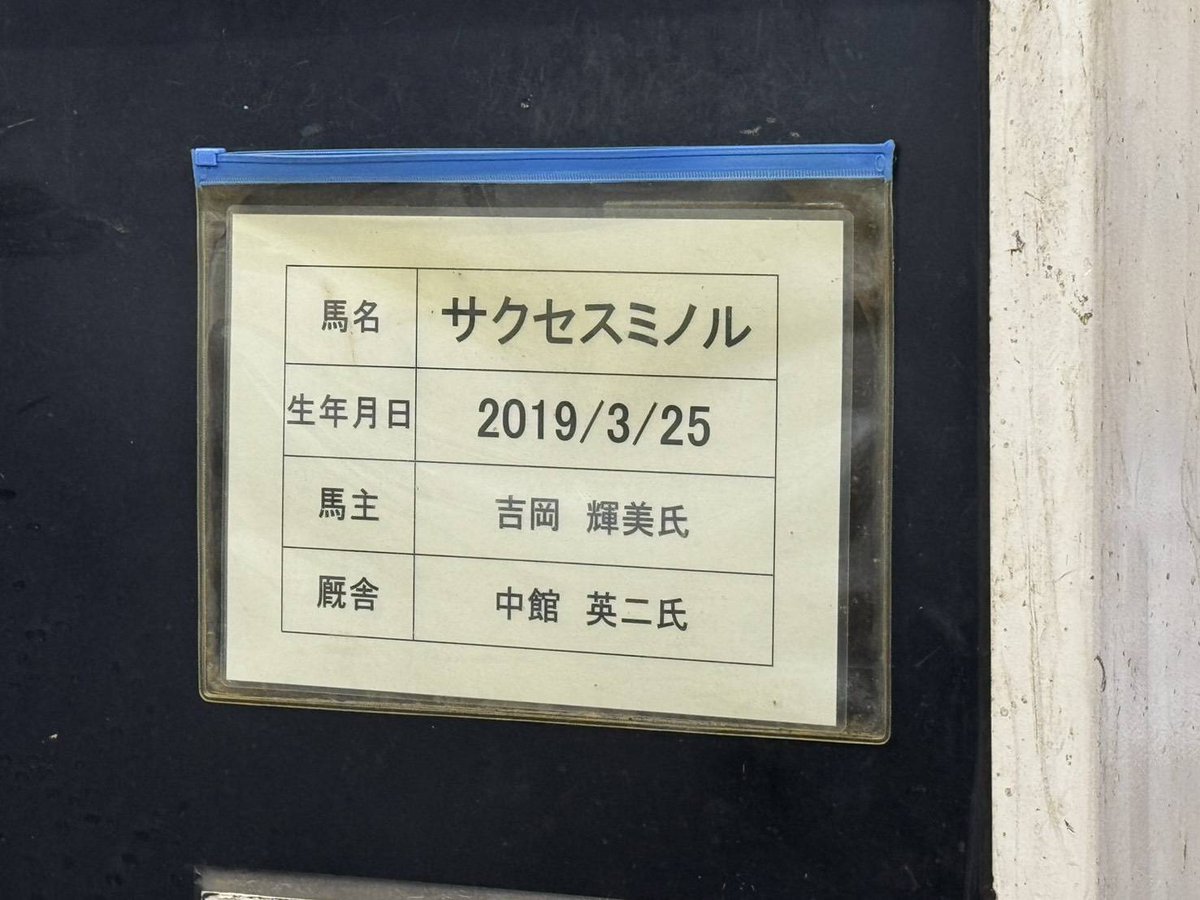 nakayama_owners's tweet image. 本日の𓃗✨️
誘導馬 &
ウィナーズレディ✨️
皆さまのご来場をお待ちしております✨️
🏇✨️✨️✨️
🔰✨️
#中山馬主協会
#東京競馬場
#初心者マーク
#サクセスミノル