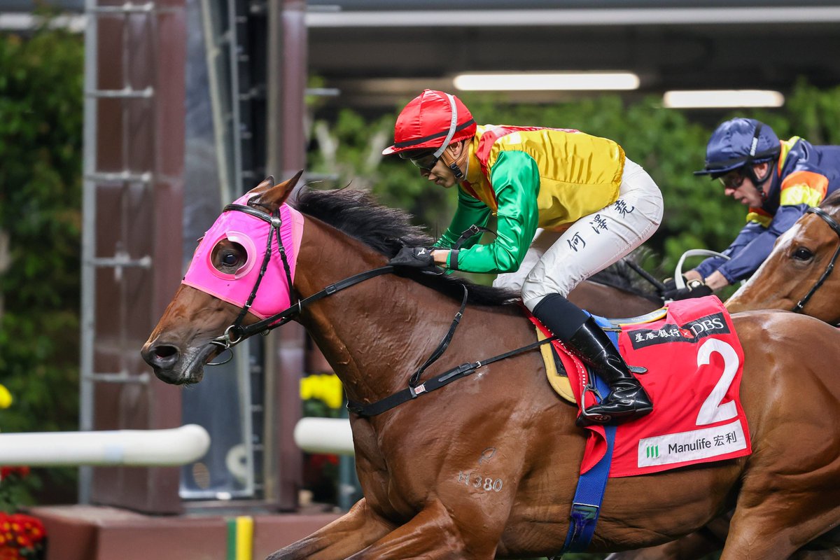 HKJC_Racing's tweet image. Declarations are out for Wednesday's (15 October) nine-race fixture at Happy Valley. #HappyWednesday #HKracing
Race Card 👉 bit.ly/3RhnRN1