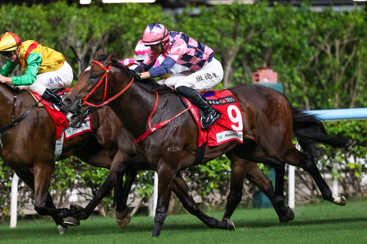 HKJC_Racing's tweet image. Declarations are out for Wednesday's (15 October) nine-race fixture at Happy Valley. #HappyWednesday #HKracing
Race Card 👉 bit.ly/3RhnRN1