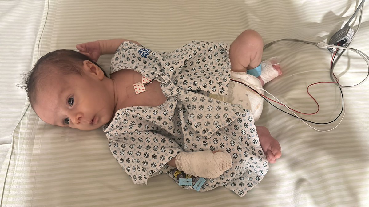 FariasPsicologo's tweet image. Meu amado filho
Apenas 42 dias de vida
E hoje está sendo internado pela 3° vez
O coração do papai está despedaçado de tristeza e saudade
Mas eu não estou preocupado
Nós somos muito fortes
E eu tenho certeza que logo você estará em casa
Você não está sozinho meu pequenino ♥️