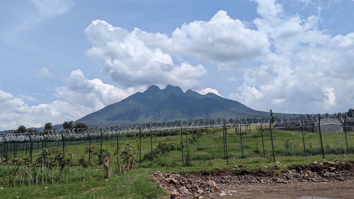 beyond_gorila's tweet photo. Your home away from home is waiting.

Let @beyond_gorila be your guide to the extraordinary. Wherever your curiosity leads, we'll take you there.

Adventure isn't found. It's created!!

#VisitRwanda #VolcanoesNationalPark #ScenicRwanda #AdventureAwaits #BeyondTheGorillas https://t.co/ntR9RArRux