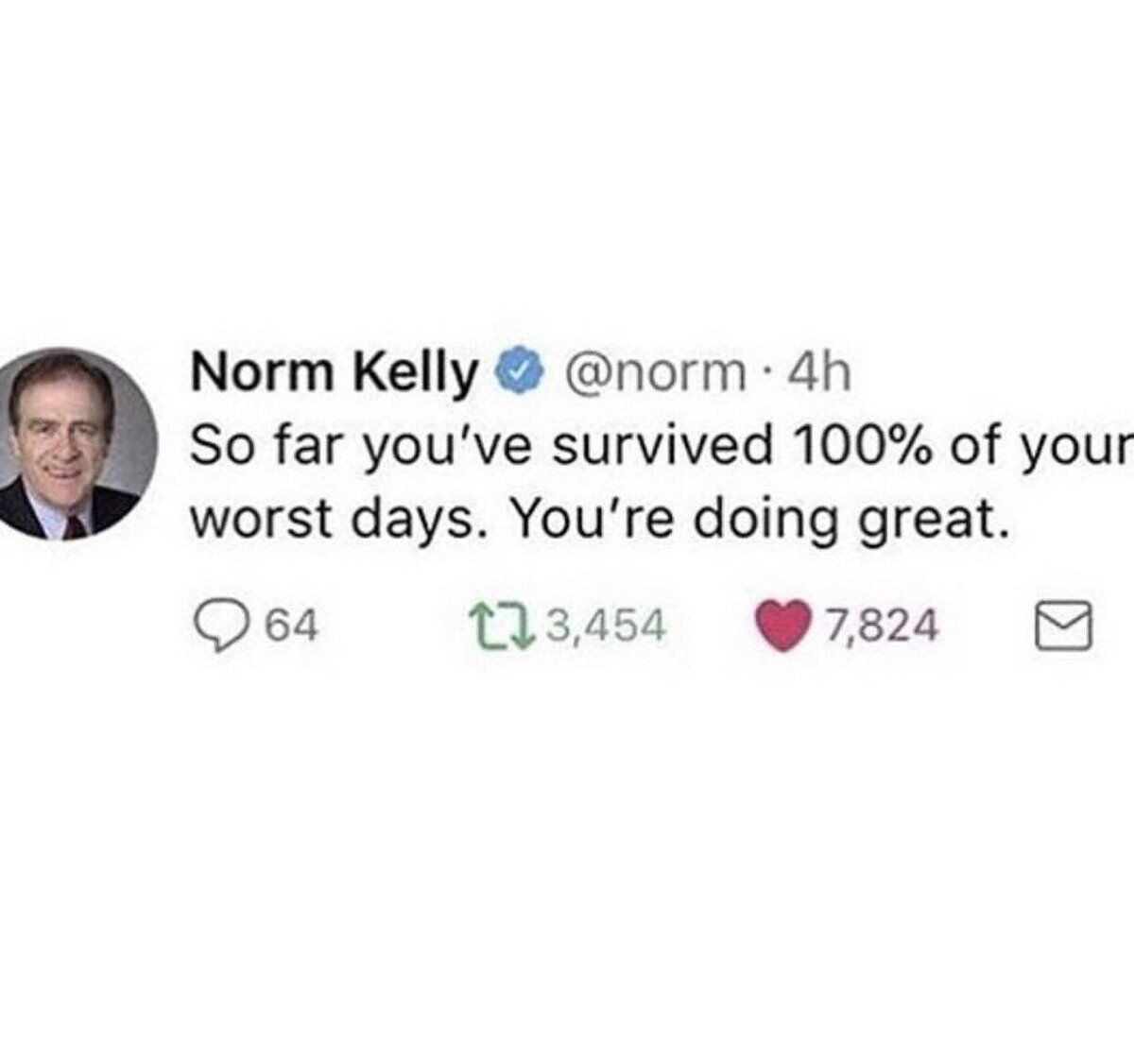 WholesomeMemes (@wholesomememe) on Twitter photo 