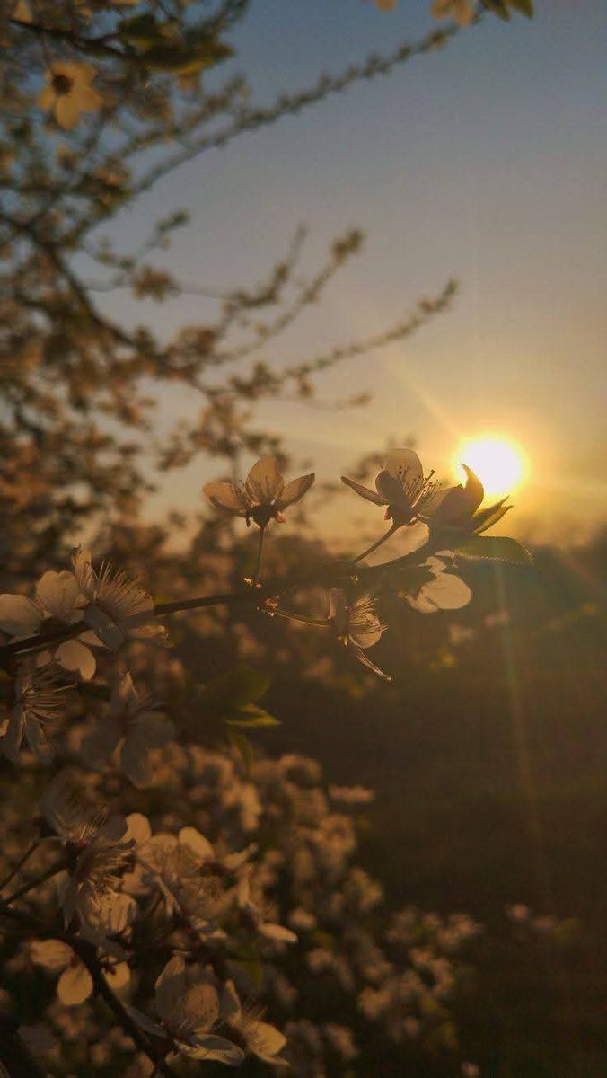 سَخِّر لَنَا دَائِمًا يا رَبَّ مَنْ يَحْمِلُ لَنَا اَلْخَيْر بَيْنَ يَدَيْهِ وَفِي قَلْبِهِ وَفِي قَوْلِهِ وَفِي فِعْلِهِ🧡

صَــبَــاحُ الــخَــيْــرِ⛅🧡☕